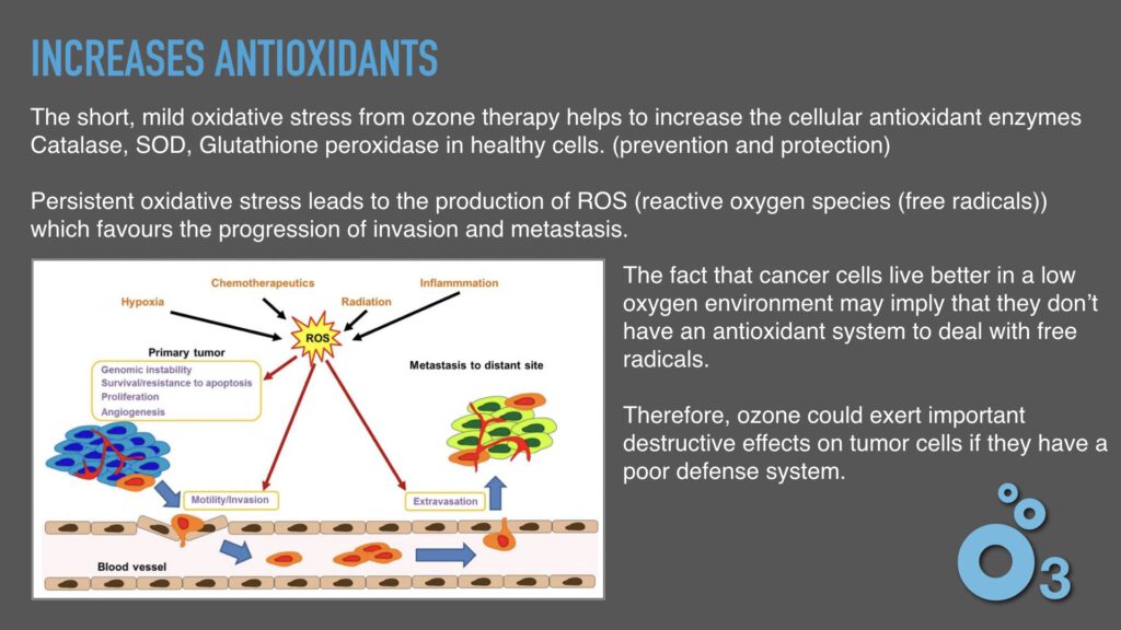 ozone facts.030